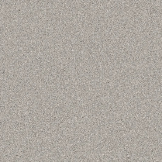 Shaw Floors - Carpet - Simply The Best  - TRUSOLUTIONS III - Clear Sky