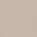 Shaw Floors - Carpet- Foundations Collection - HARMONIOUS II - Champagne Toast