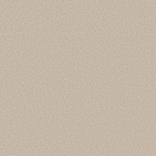 Shaw Floors - Carpet- Foundations Collection - HARMONIOUS II - Champagne Toast