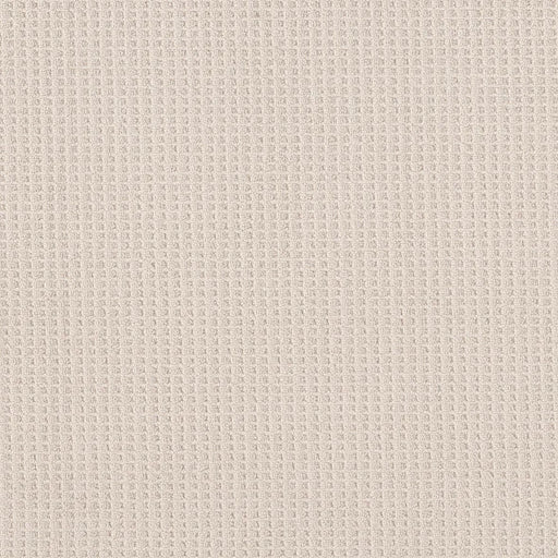 Shaw Floors - Carpet - Foundations Collection - Faint Intent - Champagne Toast