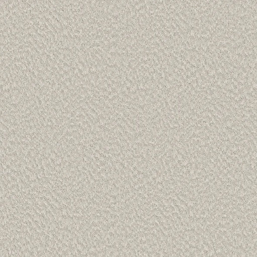 Shaw Floors - Carpet - Foundations Collection  - Alluring Canvas - Champagne Toast