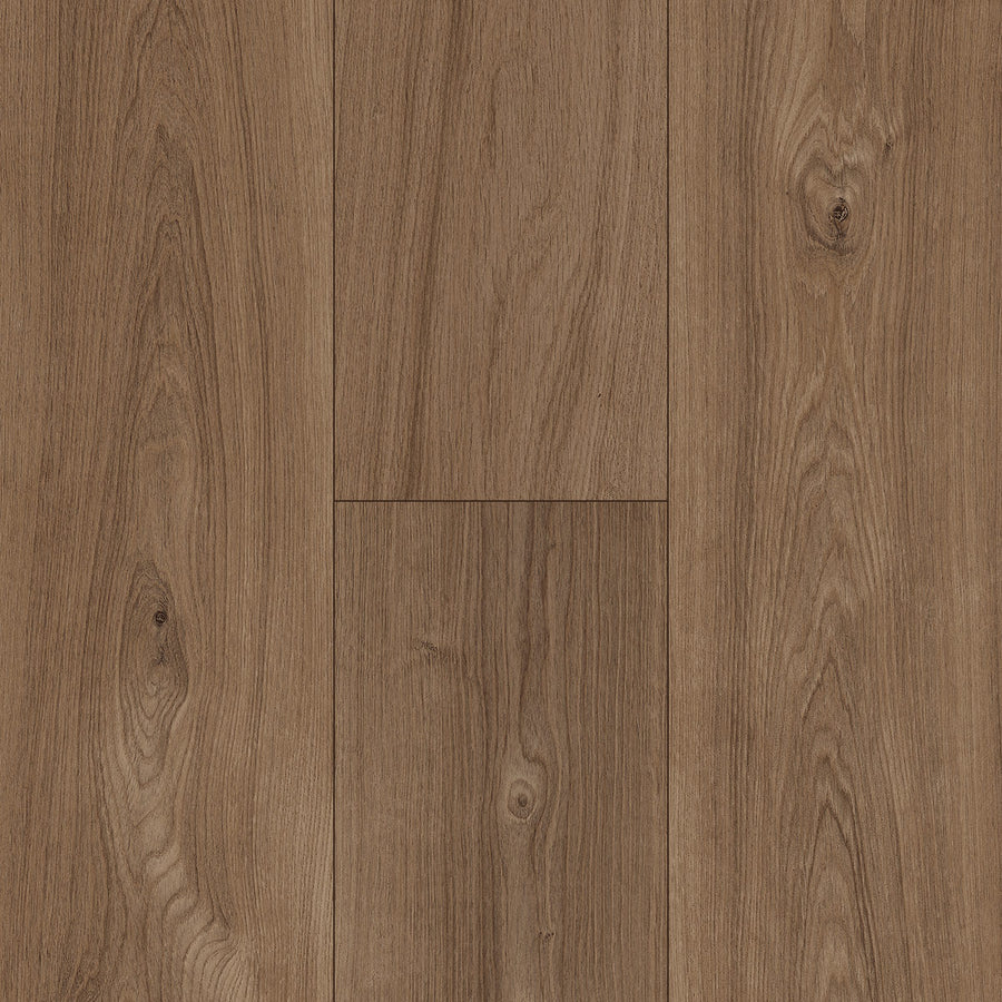 InHaus - Ceramin® - Icon Collection - Callister