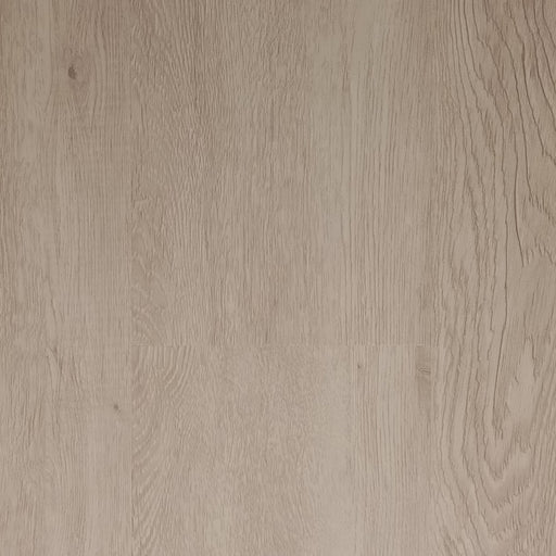 Pontek - SPC Collection - Camellia