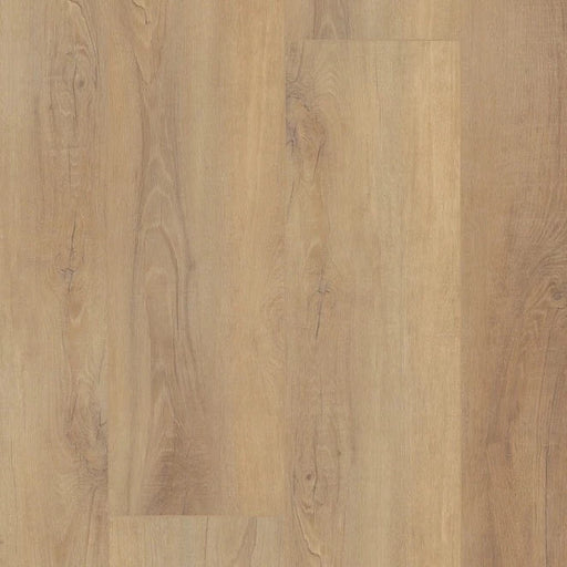 CORETEC - PRO PLUS XL ENHANCED HD - Canterbury Elm