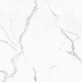 HomesPro - Porcelain Tile Collection - Carrara White - Matte - 12" x 24"