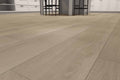 TAIGA - Curate Collection - Chiseled