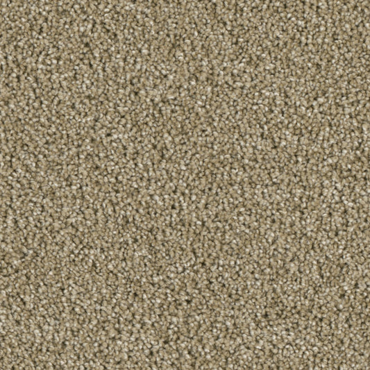 Primco - Estates Carpet - Majesty Collection - Class