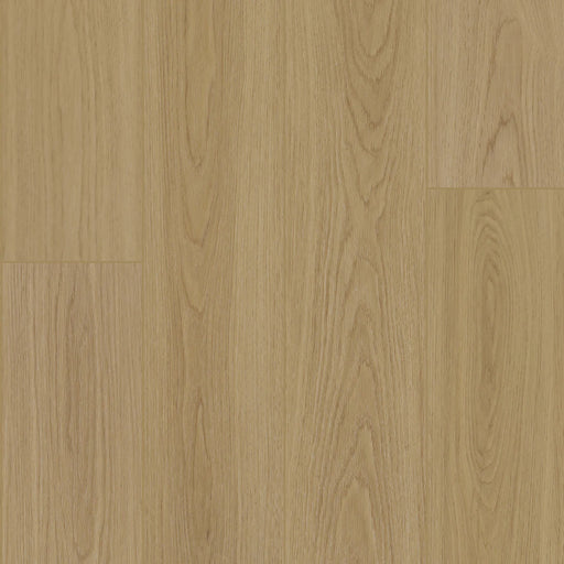 BIYORK - HydroGen 8 - Cool Haze