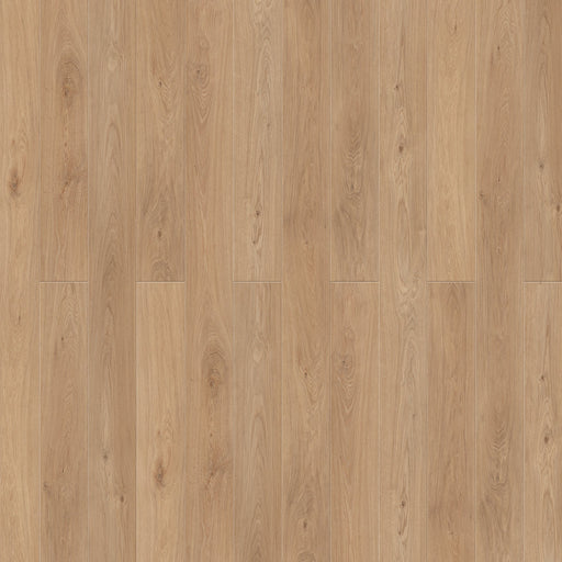 Caledon - Aqua X Collection - Coral Sunset