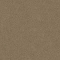 Shaw Floors - Carpet - Simply The Best  - Attainable - Cork