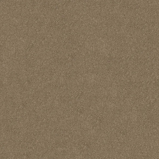 Shaw Floors - Carpet - Simply The Best  - Attainable - Cork