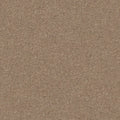 Shaw Floors - Carpet - Simply The Best  - Attainable - Cork