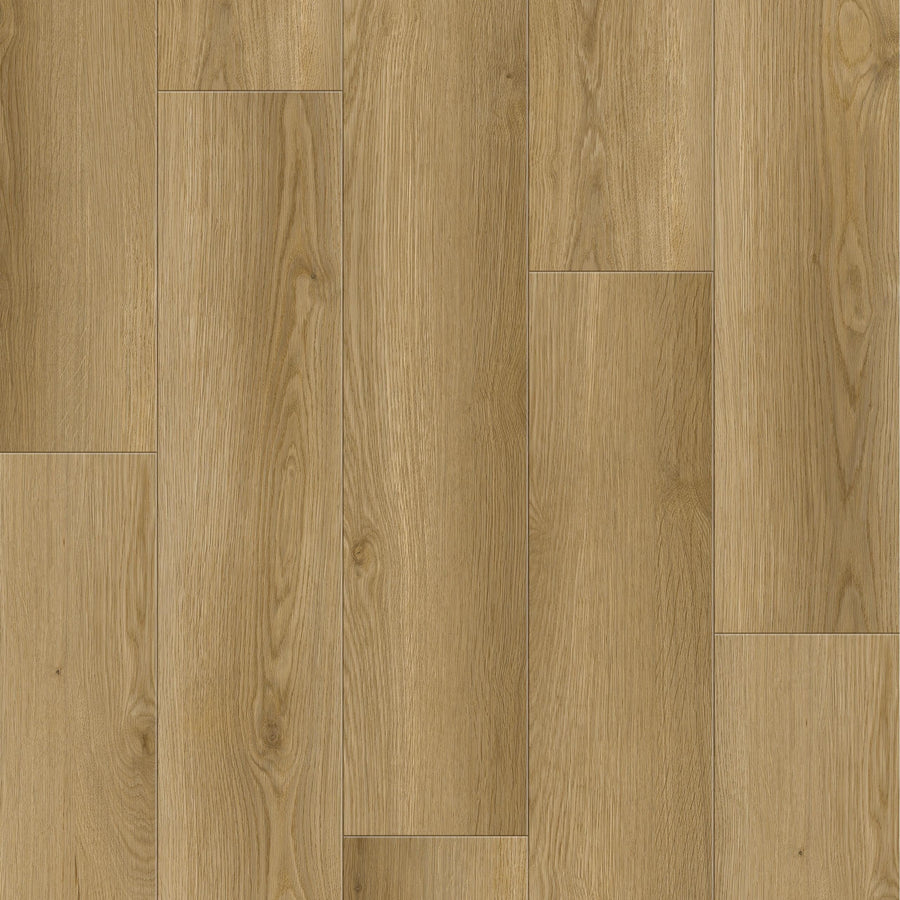 Cyrus Floors - Nautilus Collection - Cortes