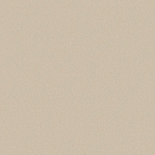 Shaw Floors - Carpet - Classics Collection  - Awaken Spirit II - 15' - Cottage