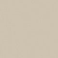 Shaw Floors - Carpet - Classics Collection  - Awaken Spirit II - 12' - Cream