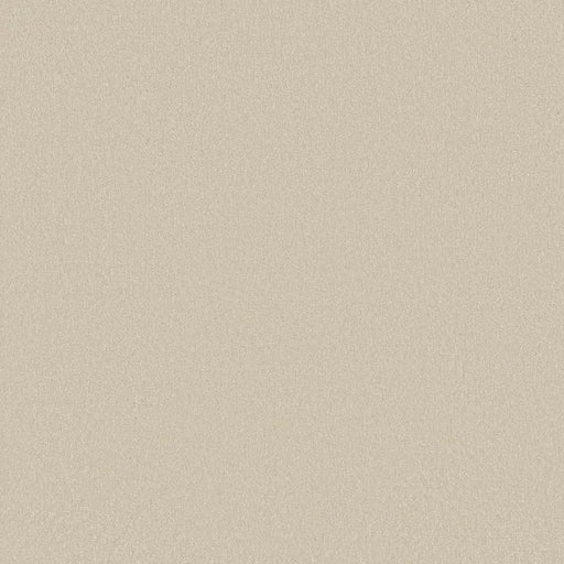 Shaw Floors - Carpet - Classics Collection  - Awaken Spirit II - 12' - Cream