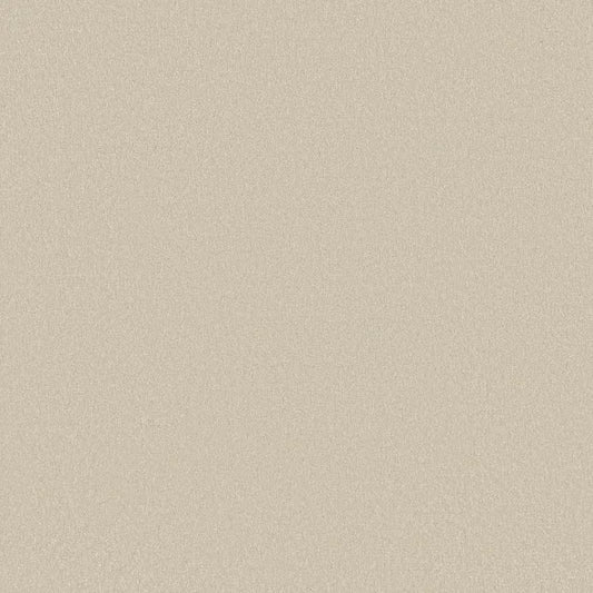 Shaw Floors - Carpet - Classics Collection  - Awaken Spirit II - 15' - Cream