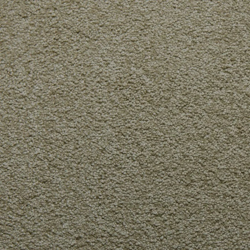 Primco - Estates Carpet - Tender Collection - Crystalline