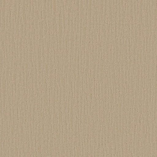 Shaw Floors - Carpet - Simply The Best Collection - Bandon Dunes - Dunes