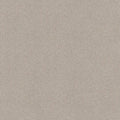 Shaw Floors - Carpet - COMFORTING I - Dainty Lace