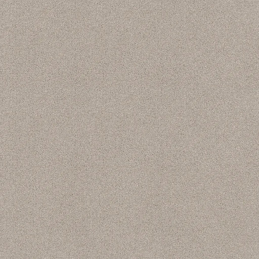 Shaw Floors - Carpet - COMFORTING II - Dainty Lace
