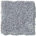 Shaw Floors - Carpet - Full Court 12' - Dolphin