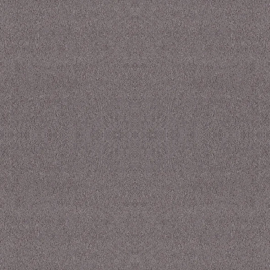 Shaw Floors - Carpet - Foundations Collection  - Alluring Canvas - Deep Connection