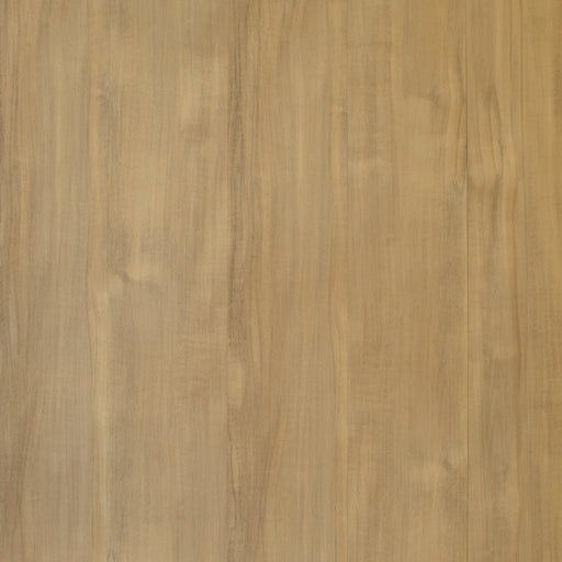 Grandeur Flooring - Timeless Collection - Exotic Walnut