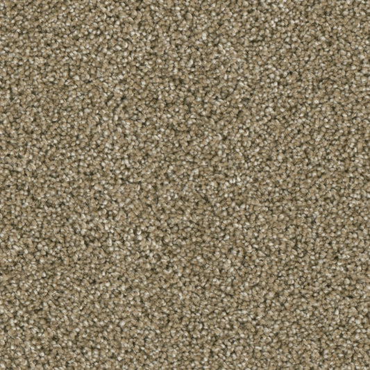 Primco - Estates Carpet - Majesty Collection - Elegant