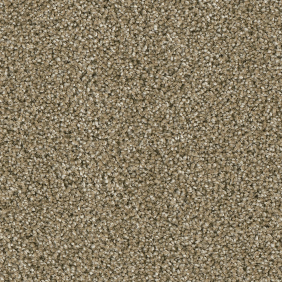 Primco - Estates Carpet - Nobility Collection - Elegant