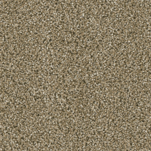 Primco - Estates Carpet - Grand Style Collection - Elegant