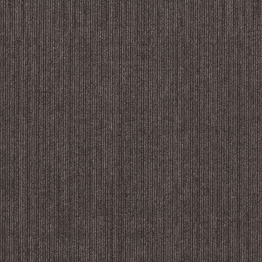 Shaw Floors - 5th & Main Carpet - Native Collection - ESSENTIAL