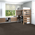 Shaw Floors - 5th & Main Carpet - Native Collection - ESSENTIAL