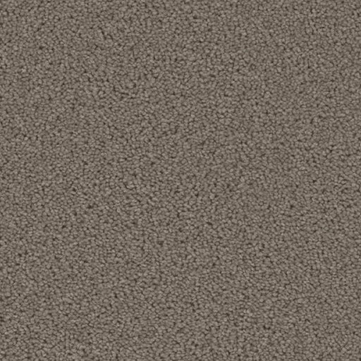 ACORN DESIGN - PACIFIC RIM COLLECTION - 24OZ CUT PILE CARPET - EVERGREEN