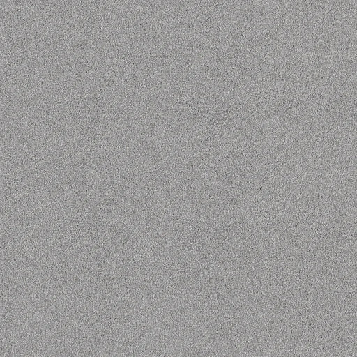 Shaw Floors - Carpet - COMFORTING I - Foil