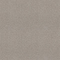 Shaw Floors - Carpet - COMFORTING I - French Buff