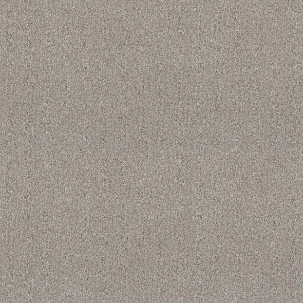 Shaw Floors - Carpet - COMFORTING I - French Buff