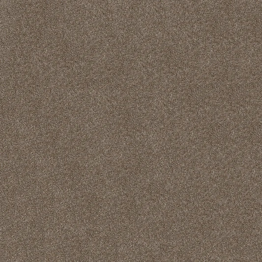 Shaw Floors - Carpet - Simply The Best  - Attainable - Fox Hollow