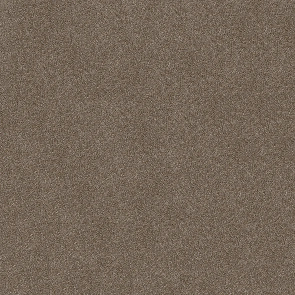 Shaw Floors - Carpet - Simply The Best  - Attainable - Fox Hollow