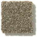 Shaw Floors - Carpet - Simply The Best  - Attainable - Fox Hollow