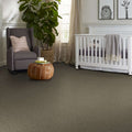 Shaw Floors - Carpet - Simply The Best  - Attainable - Fox Hollow