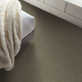 Shaw Floors - Carpet - Simply The Best  - Attainable - Fox Hollow