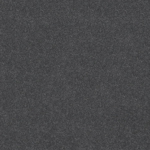 Shaw Floors - Carpet - Simply The Best  - Attainable - Faded Indigo