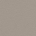Shaw Floors - Carpet - Foundations Collection  - Alluring Canvas - Fossil Path