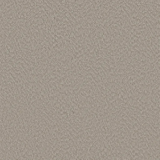 Shaw Floors - Carpet - Foundations Collection  - Alluring Canvas - Fossil Path