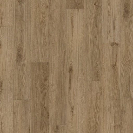 BIYORK - HydroGen 6 - Firewood