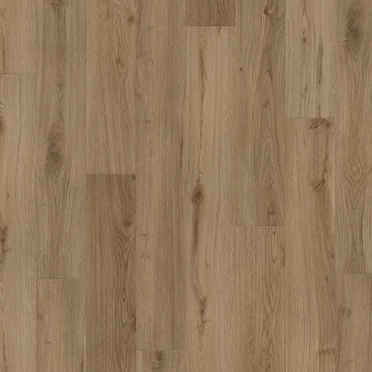 BIYORK - HydroGen 6 - Firewood