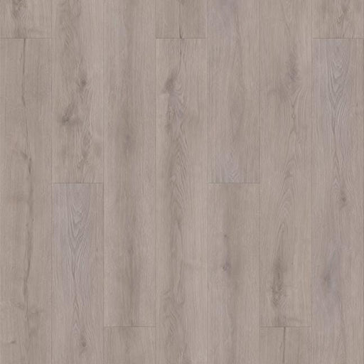 TAIGA - Aquila Collection - Fearless