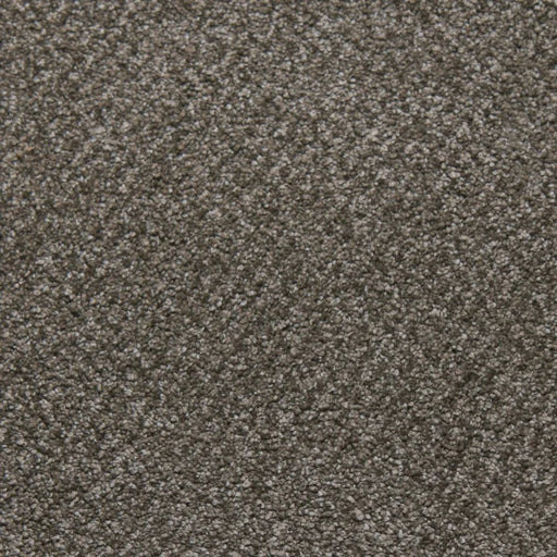 Primco - Estates Carpet - Soft Spoken Collection - Felicity