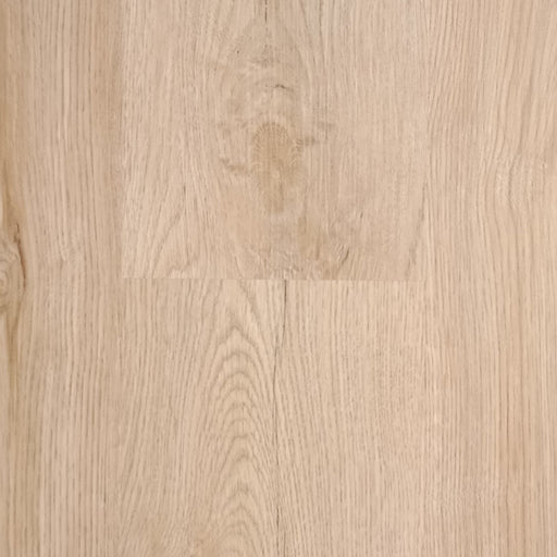 Pontek - SPC Collection - Flowering